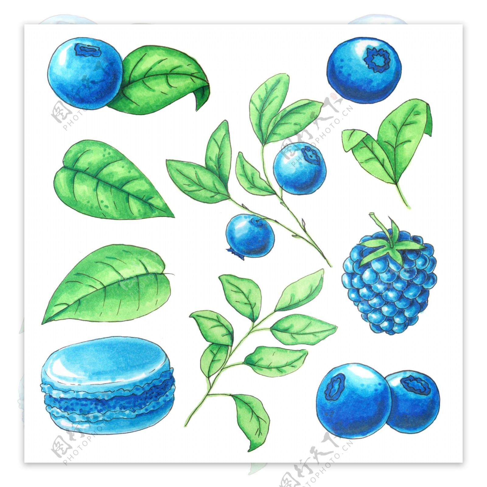 蓝莓果子手绘图案