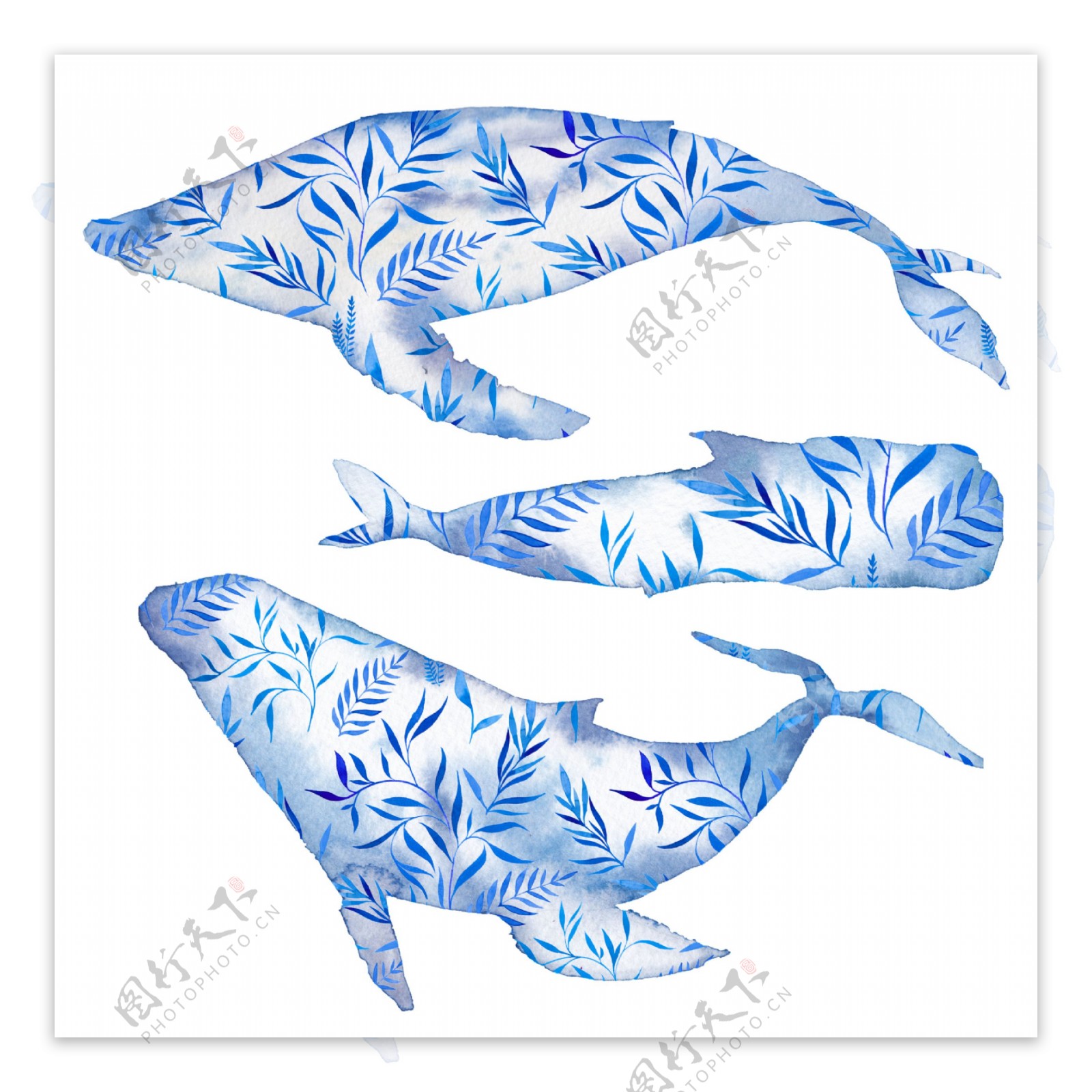 蓝色水彩海豚