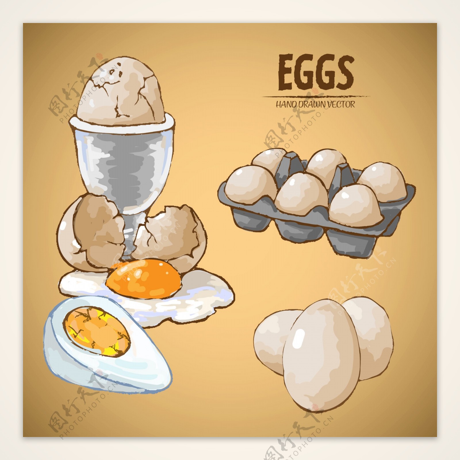 矢量鸡蛋和鸭蛋