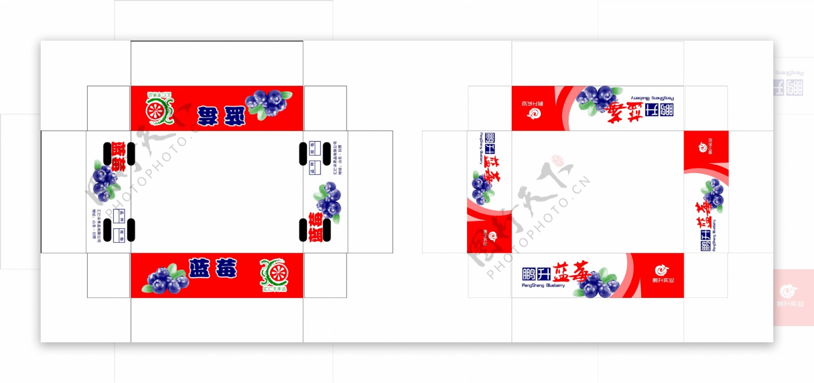 蓝莓包装水印纸箱