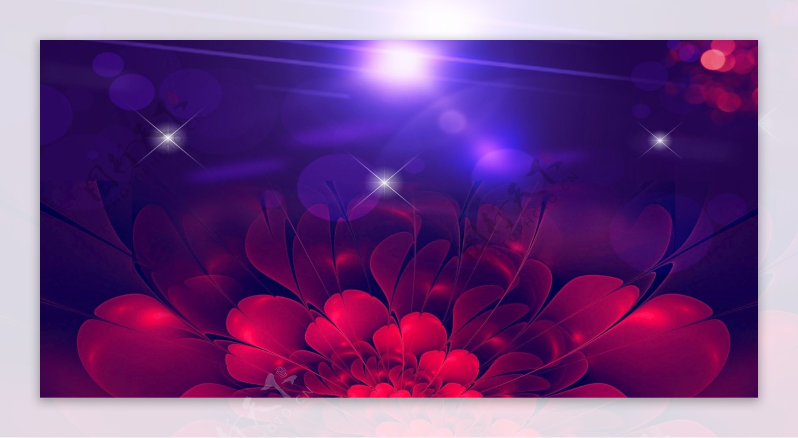 大气紫色花朵背景素材