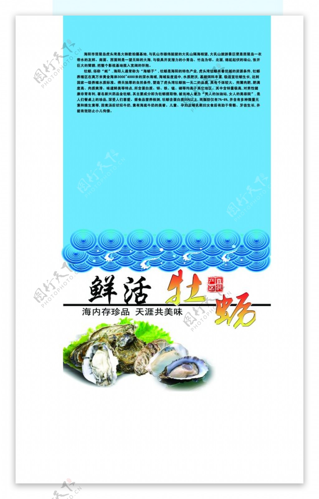 牡蛎海蛎子包装箱