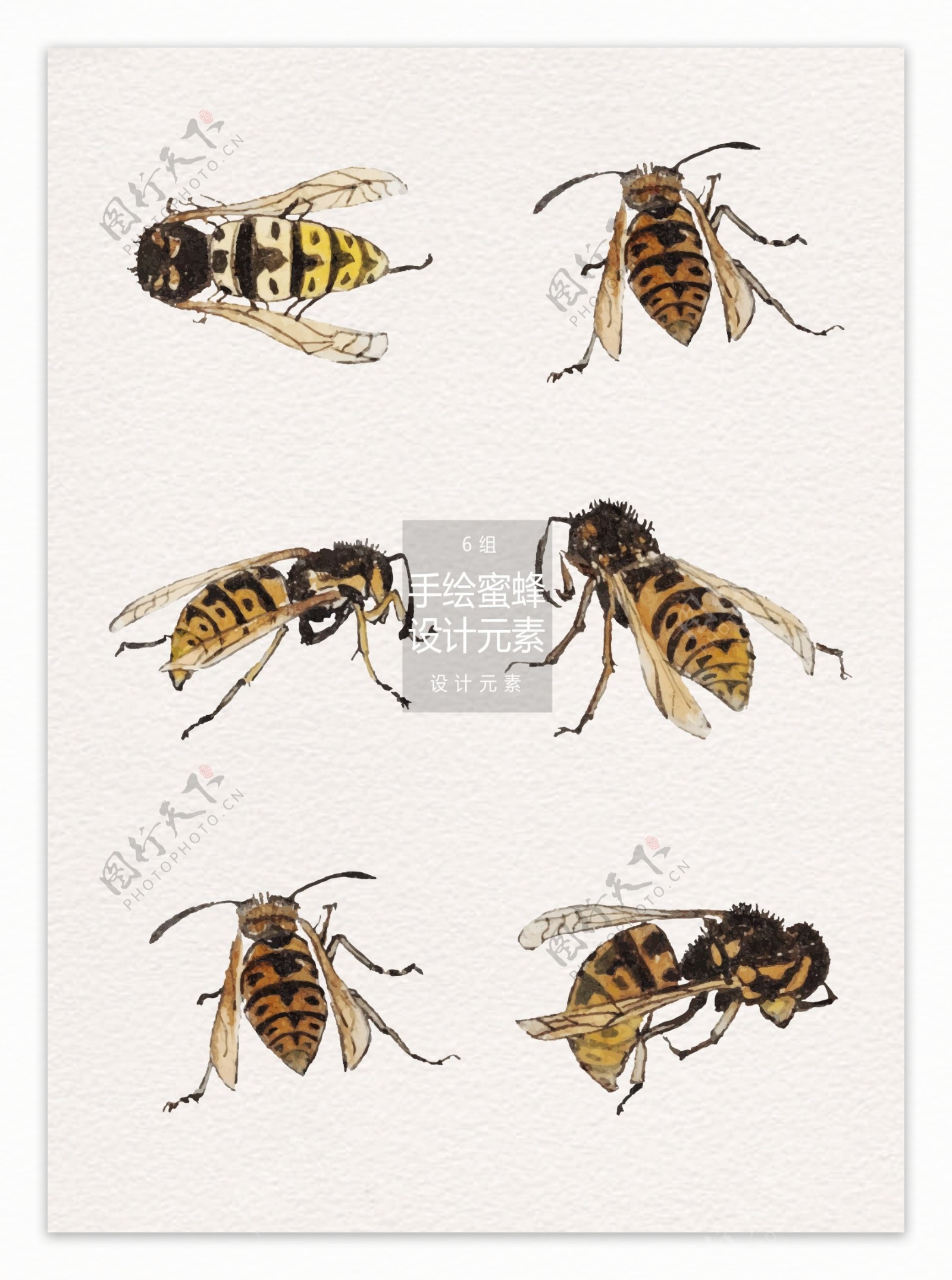 手绘蜜蜂设计元素