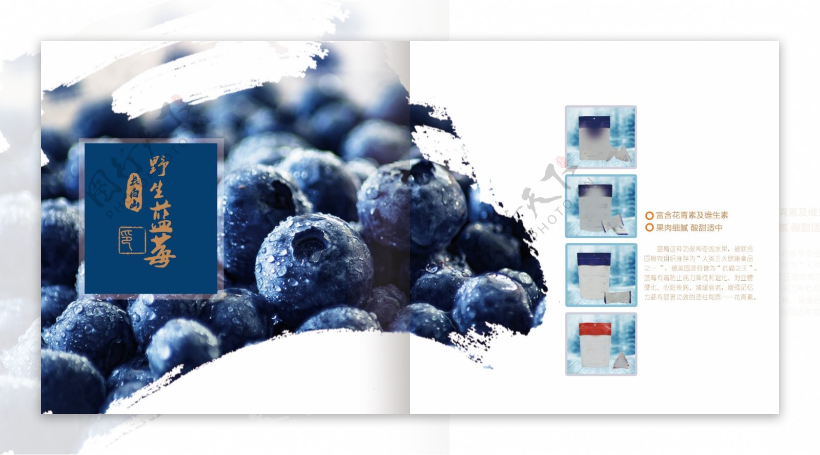 蓝莓产品画册单页