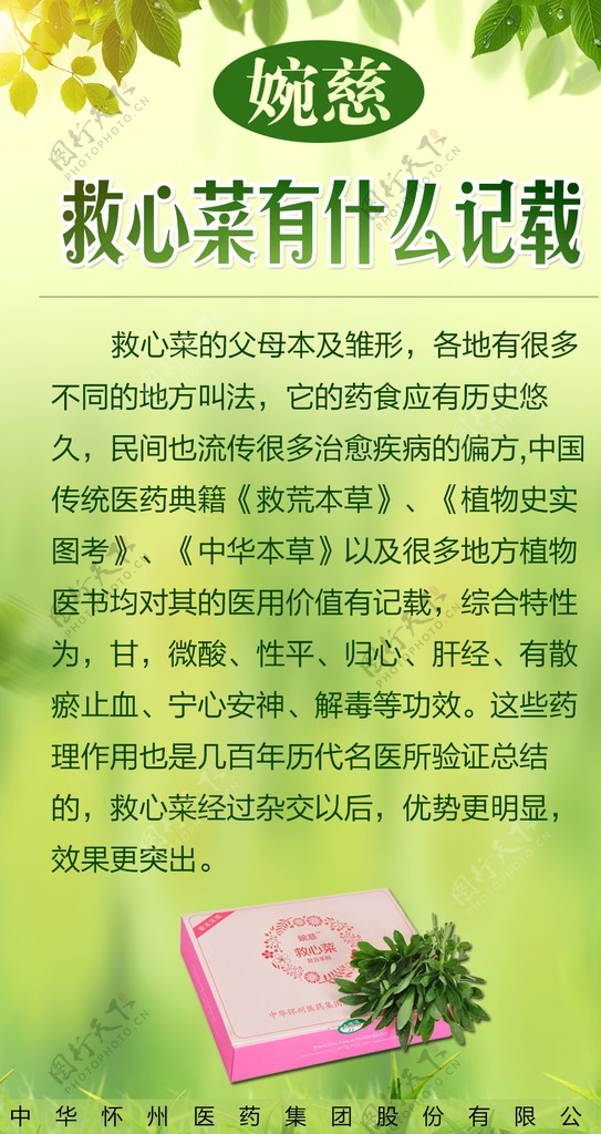 救心菜复合粉