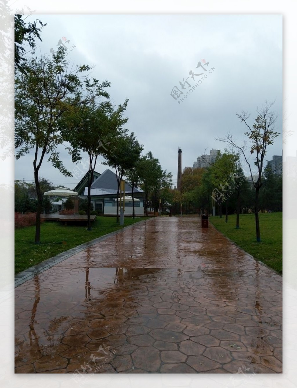 雨天的公园美景