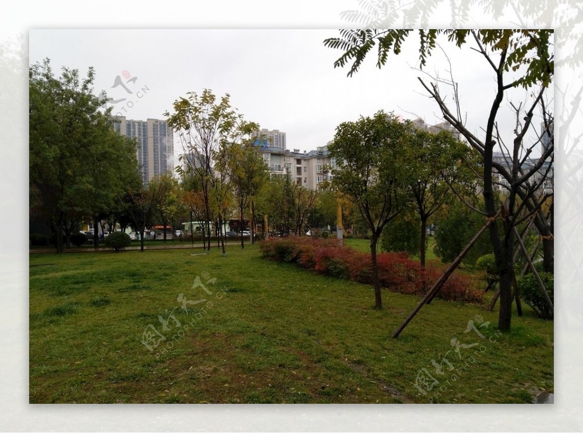 雨天的公园风景