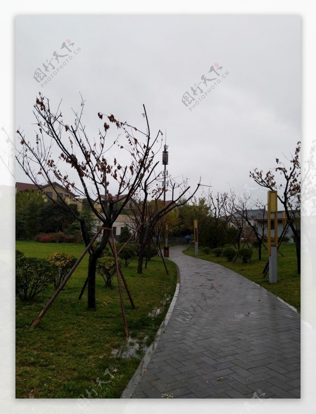 雨天的公园风景