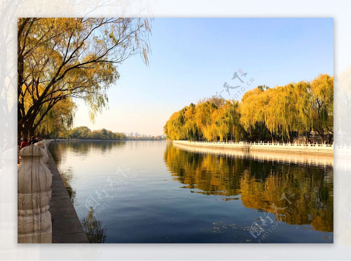 蓝天下的公园河流风景