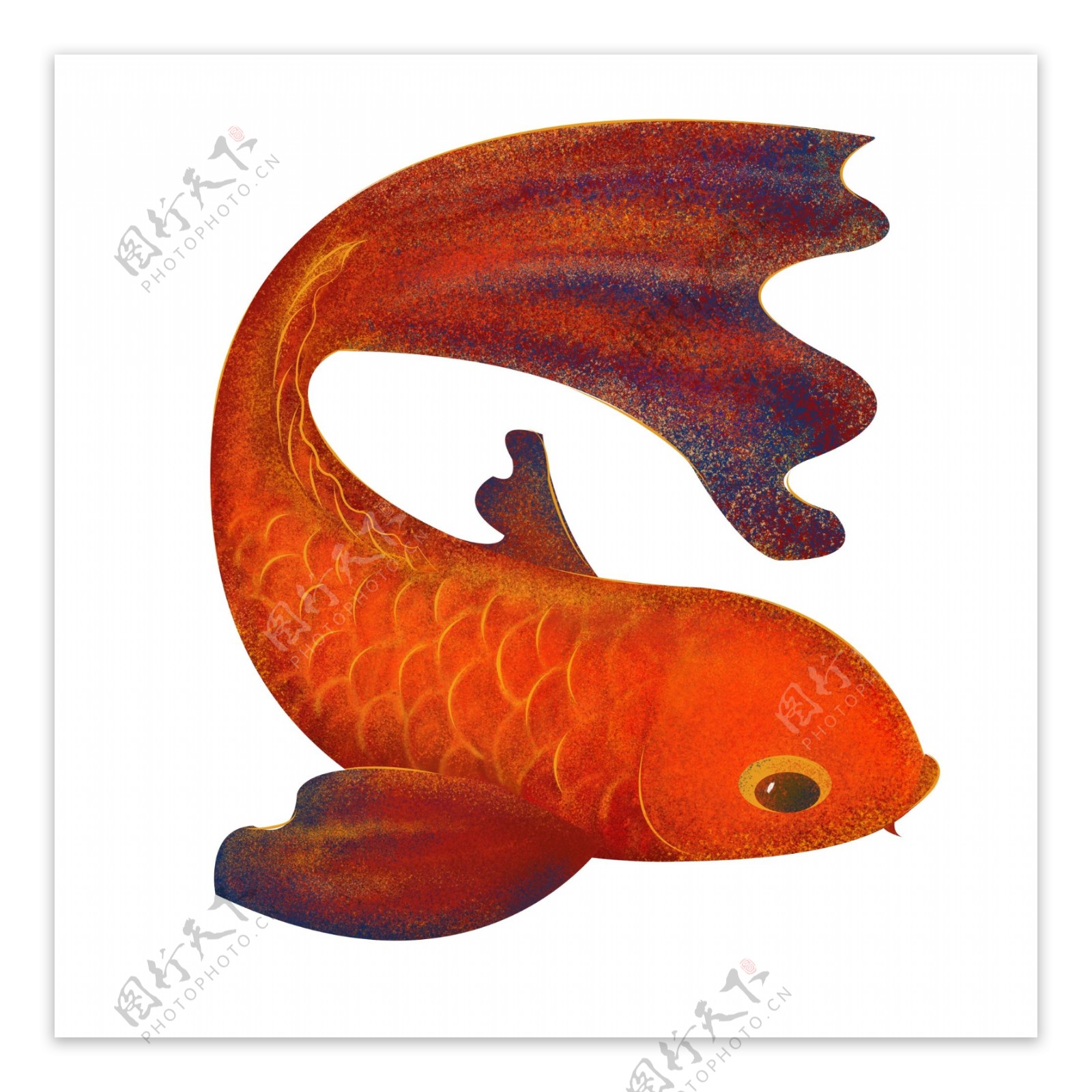 手绘质感红鲤鱼设计元素