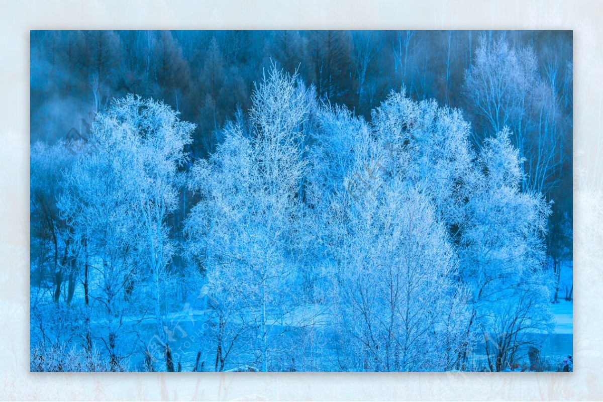 雪树