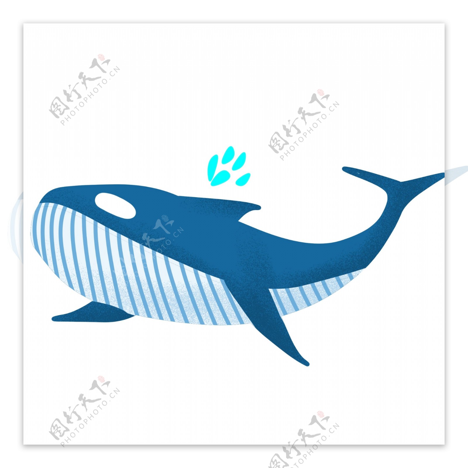 蓝色的鲸鱼手绘插画