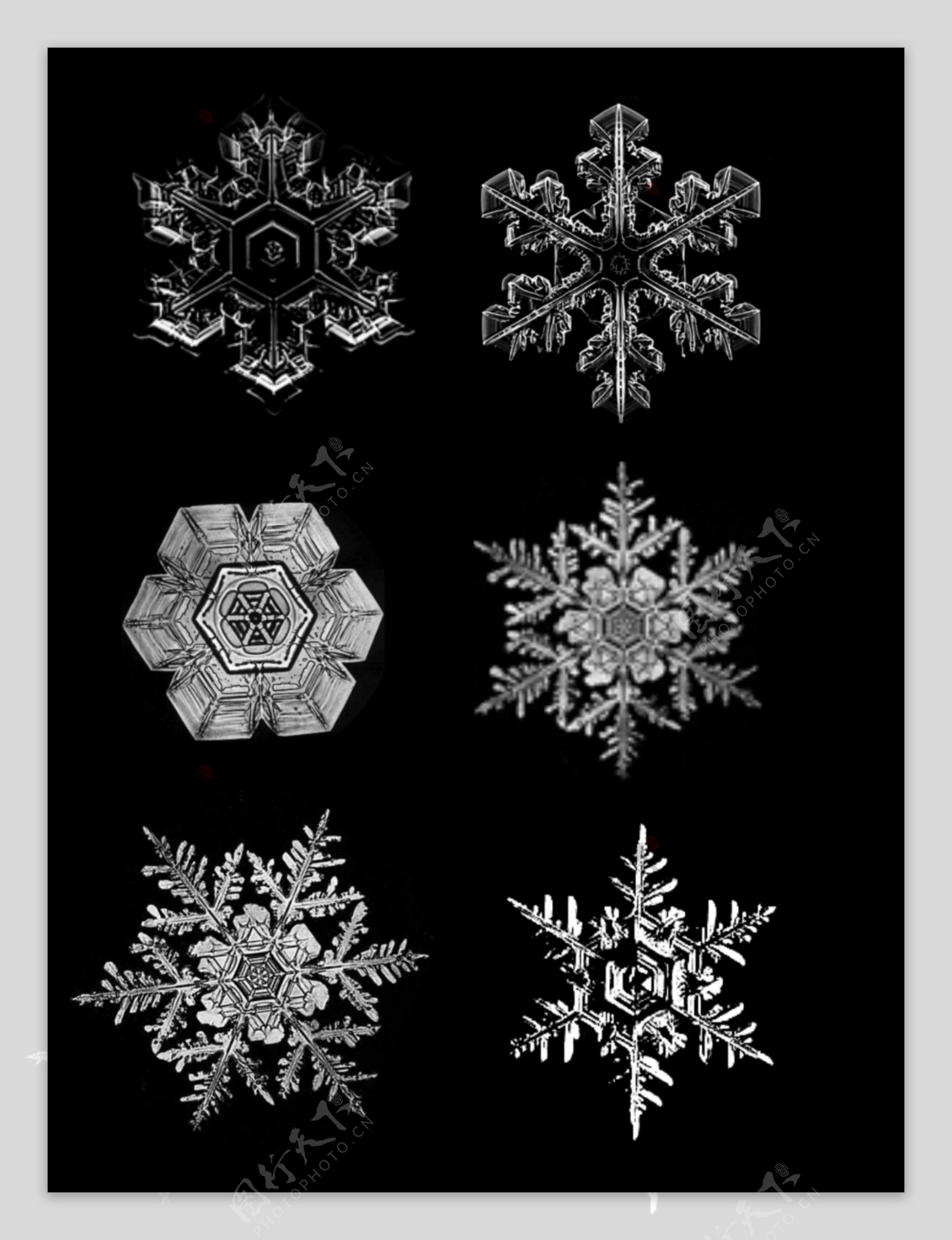 仿真冰晶冬季雪花图装饰元素