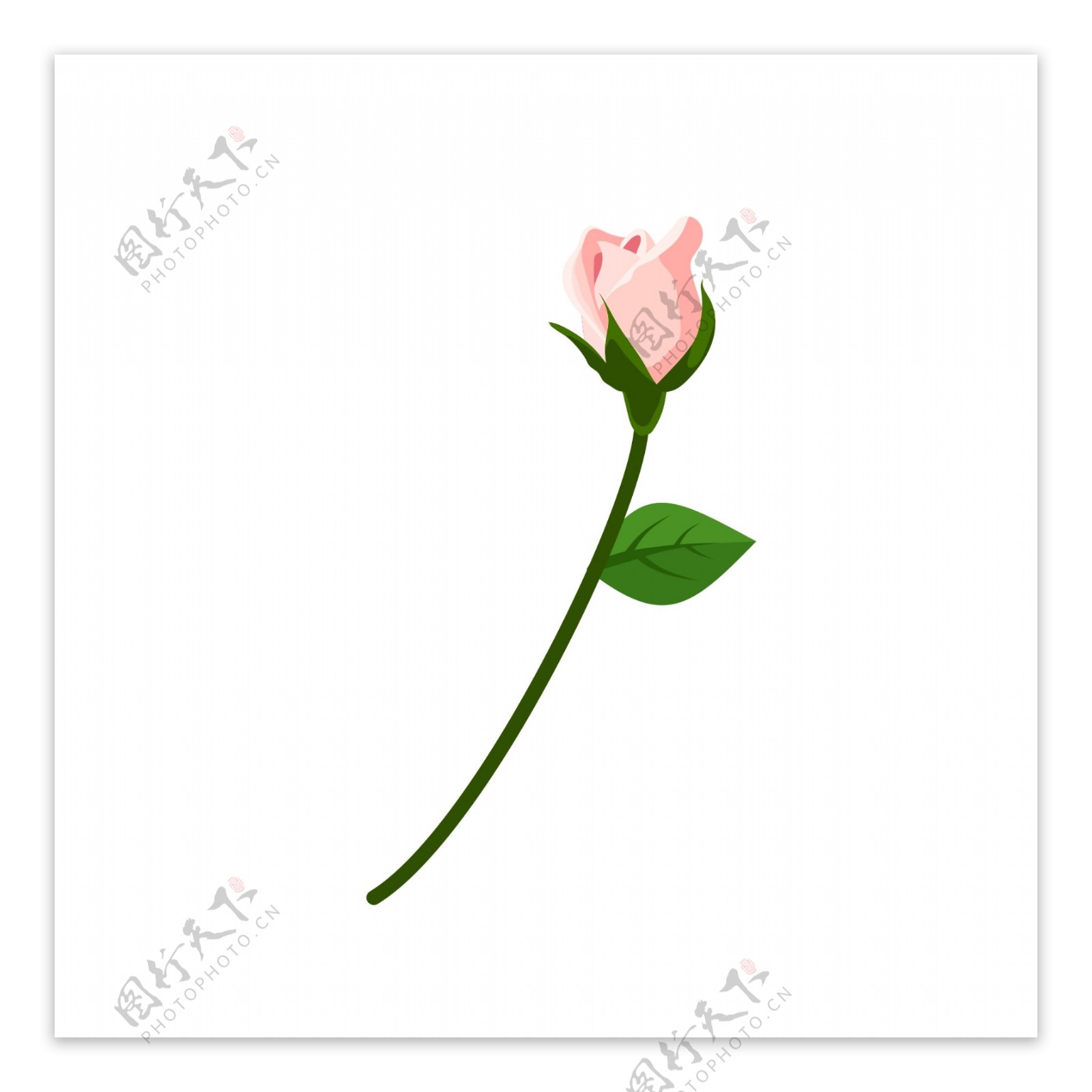 玫瑰花一支粉色装饰素材设计