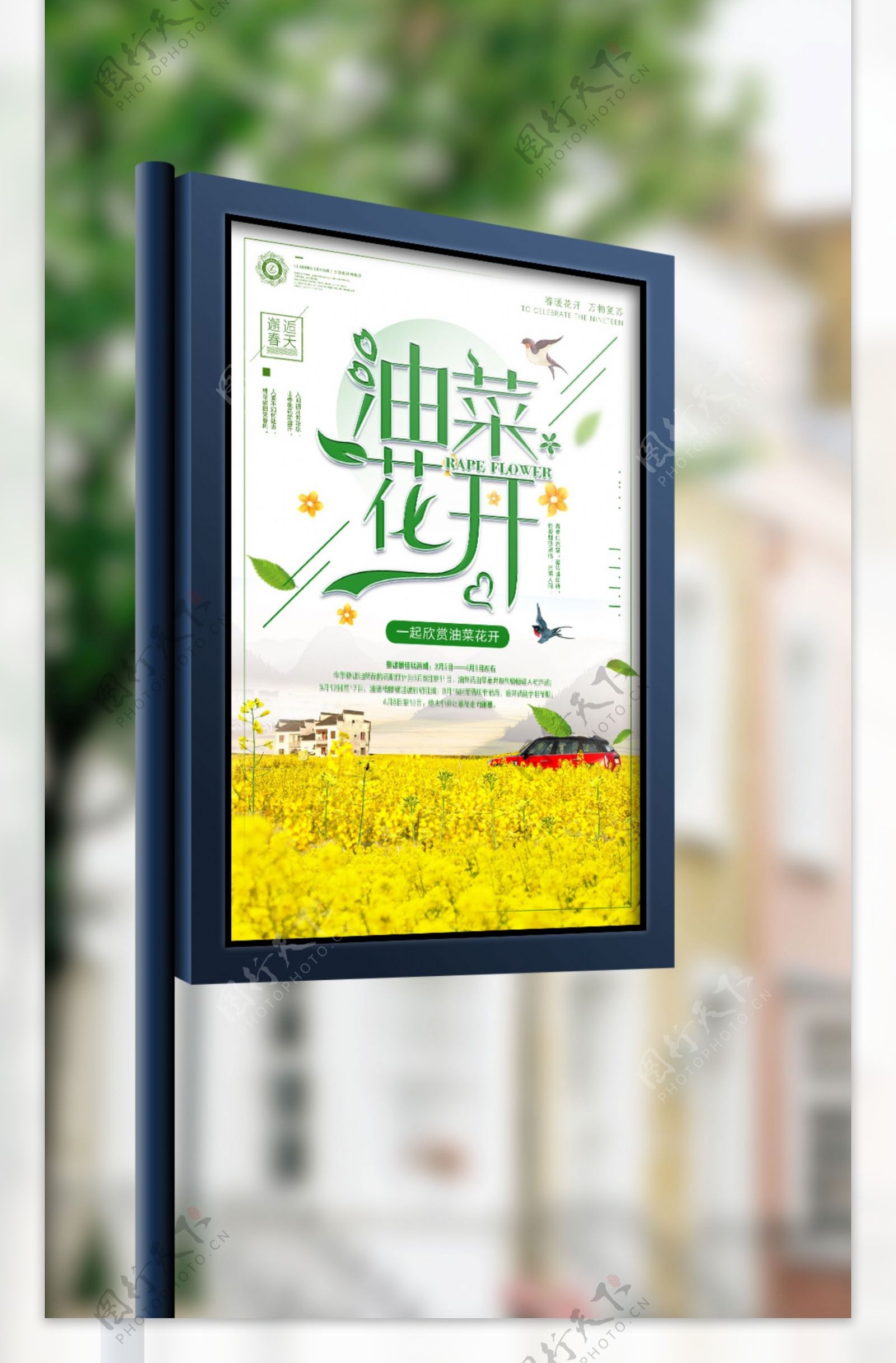 2018绿色婺源旅游最美油菜花海报