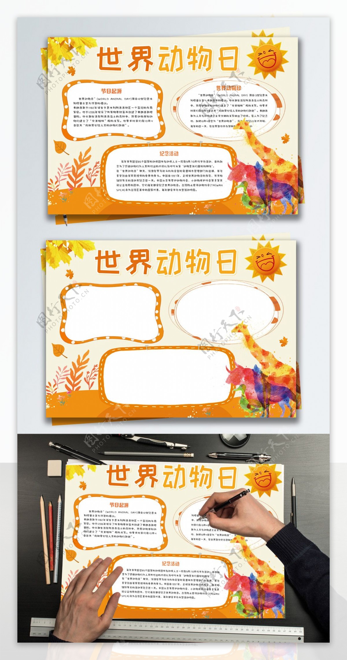 橘黄清新世界动物日保护动物小报手抄报