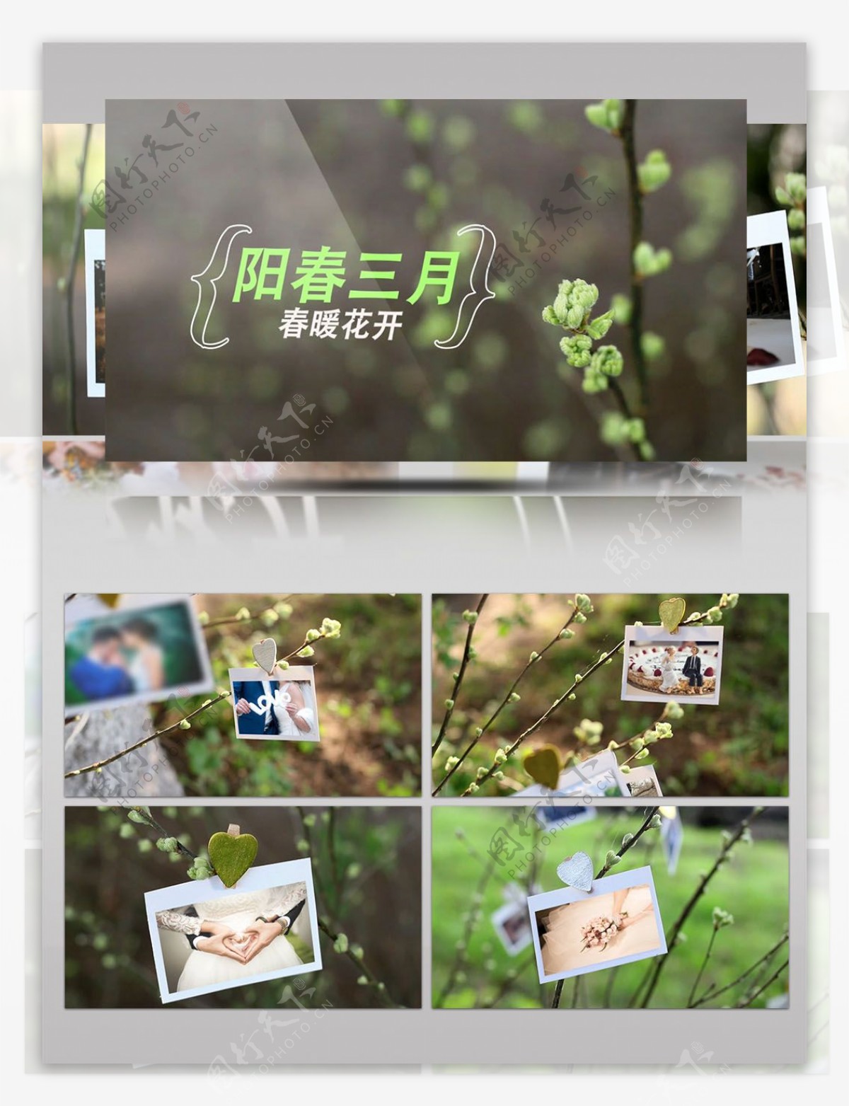绿色春景实拍结合后期婚礼相册ae模板