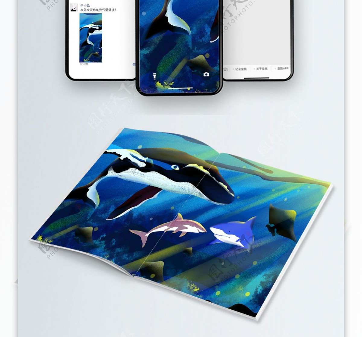 海洋生物鲸鱼与鲨鱼治愈系商业插画