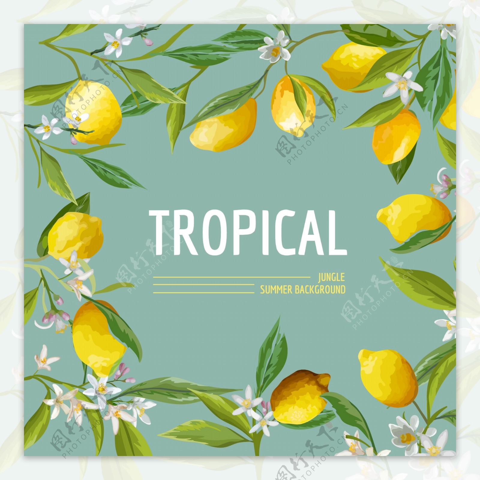 柠檬热带风情卡片设计矢量背景