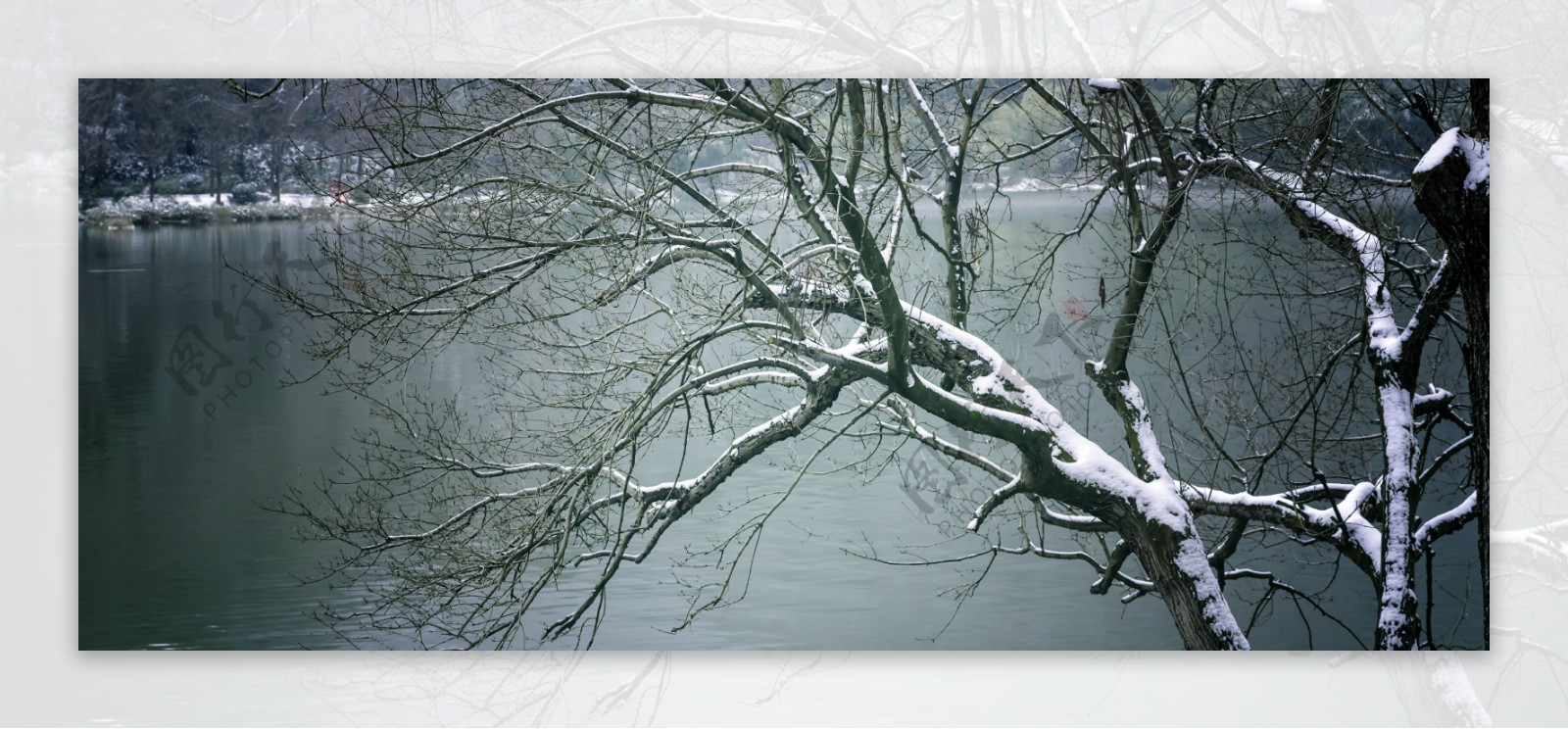 雪压湖畔树