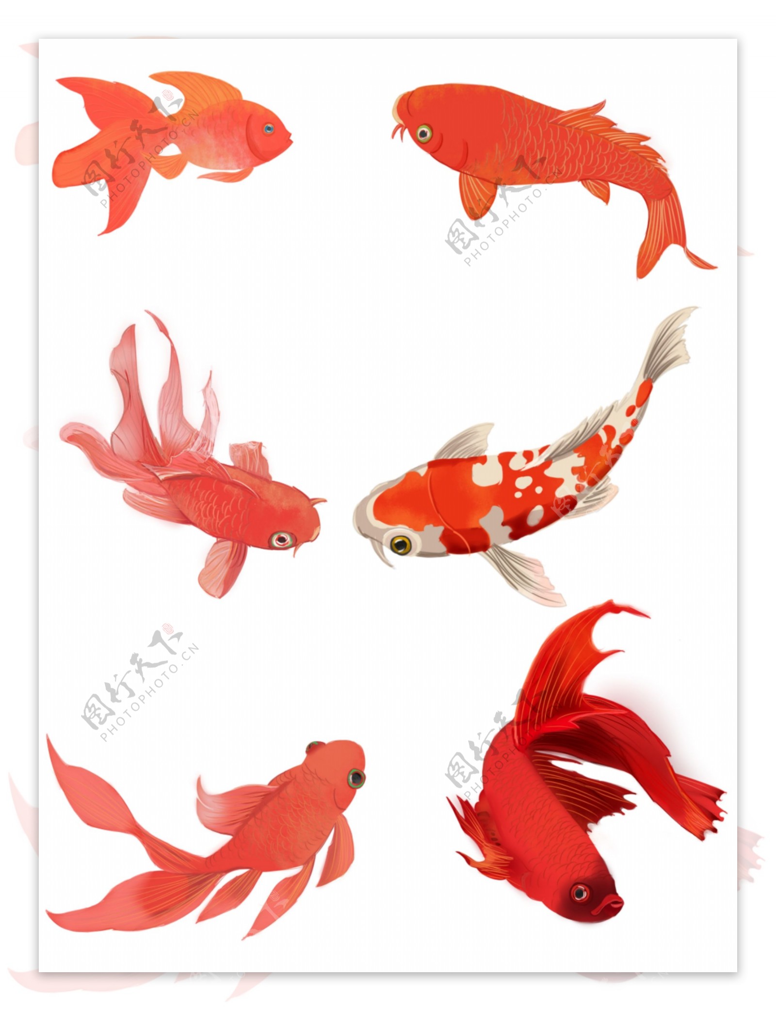 红色喜庆中国风手绘金鱼装饰图案