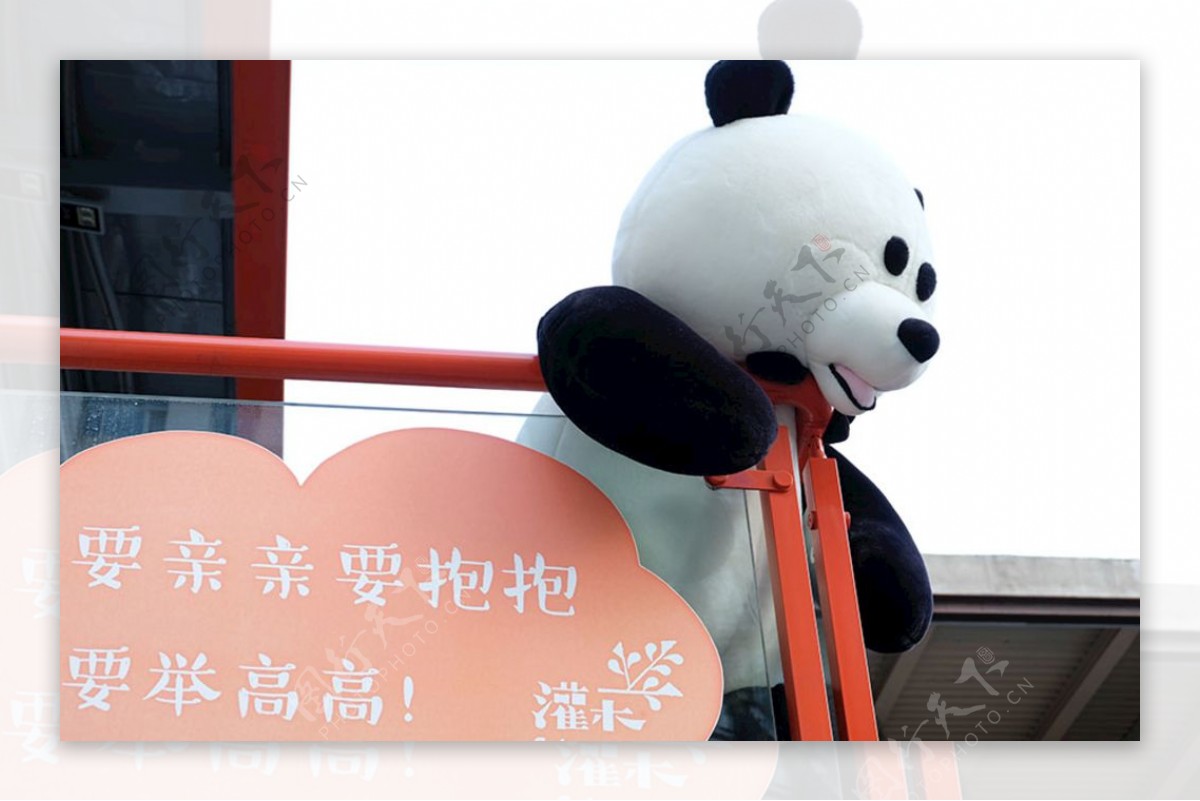 抱抱熊猫798