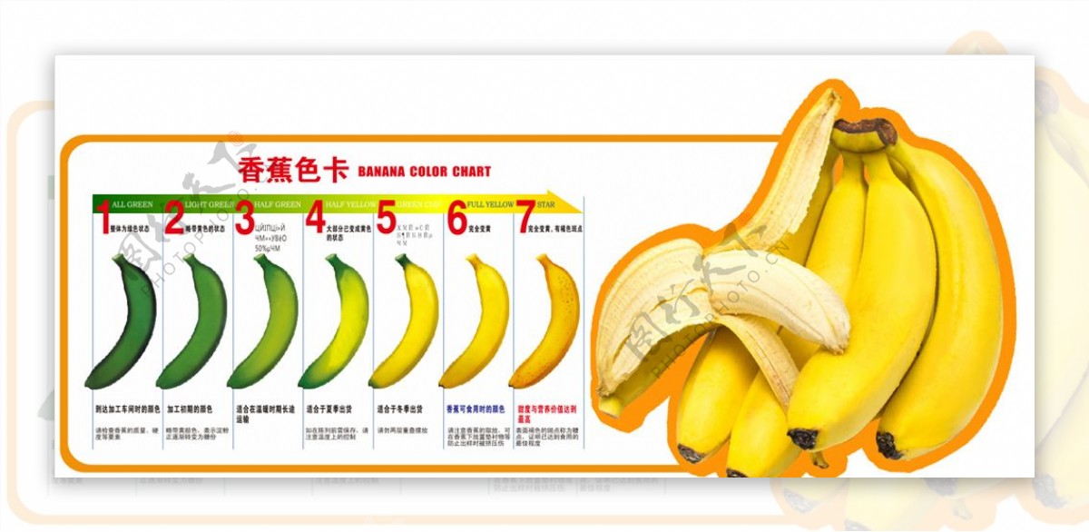 香蕉色卡