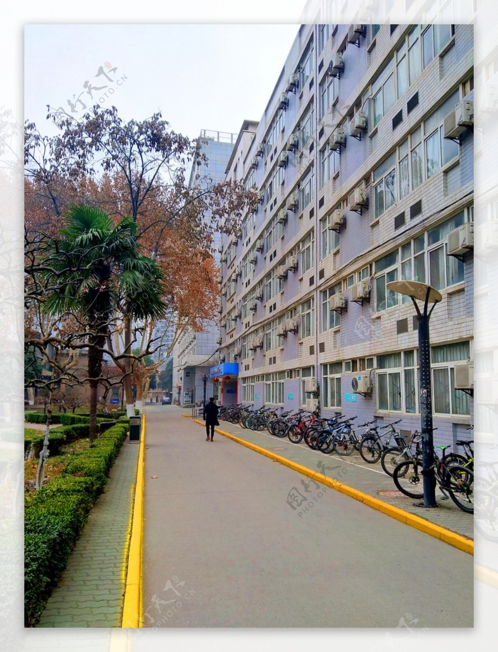 美丽的大学校园