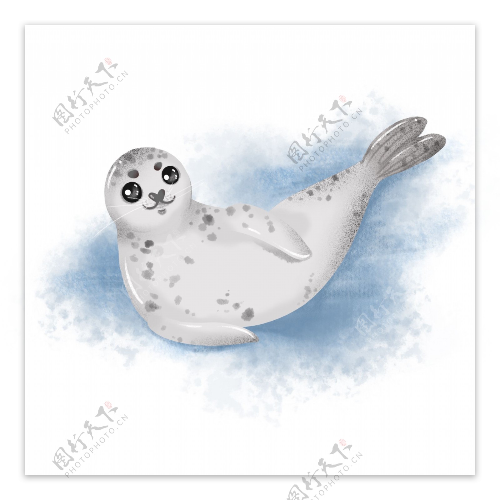 3月1日国际海豹节小海豹卡通形象元素手绘