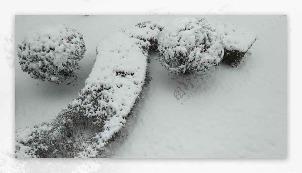 雪景