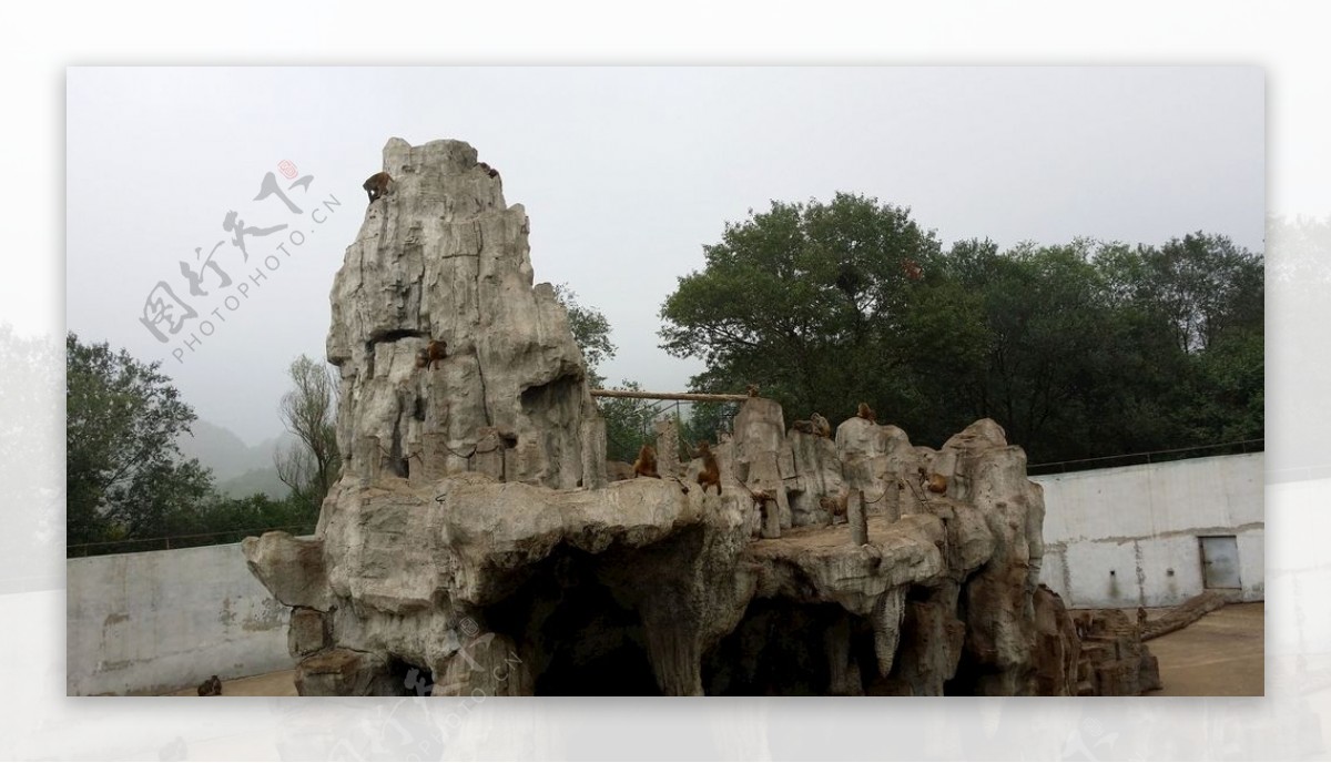 北京八达岭野生动物园猴子