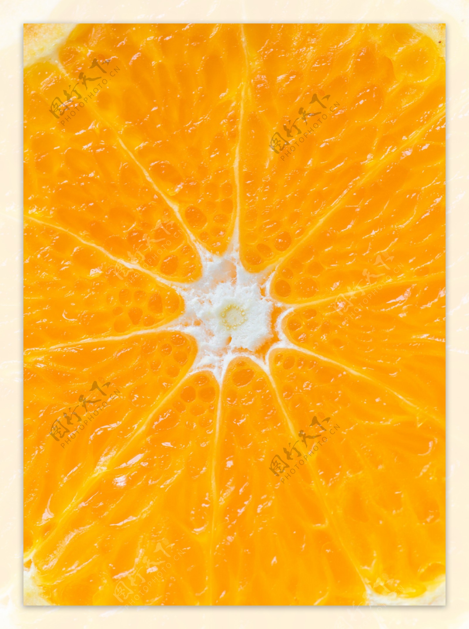 橙子果肉高清图