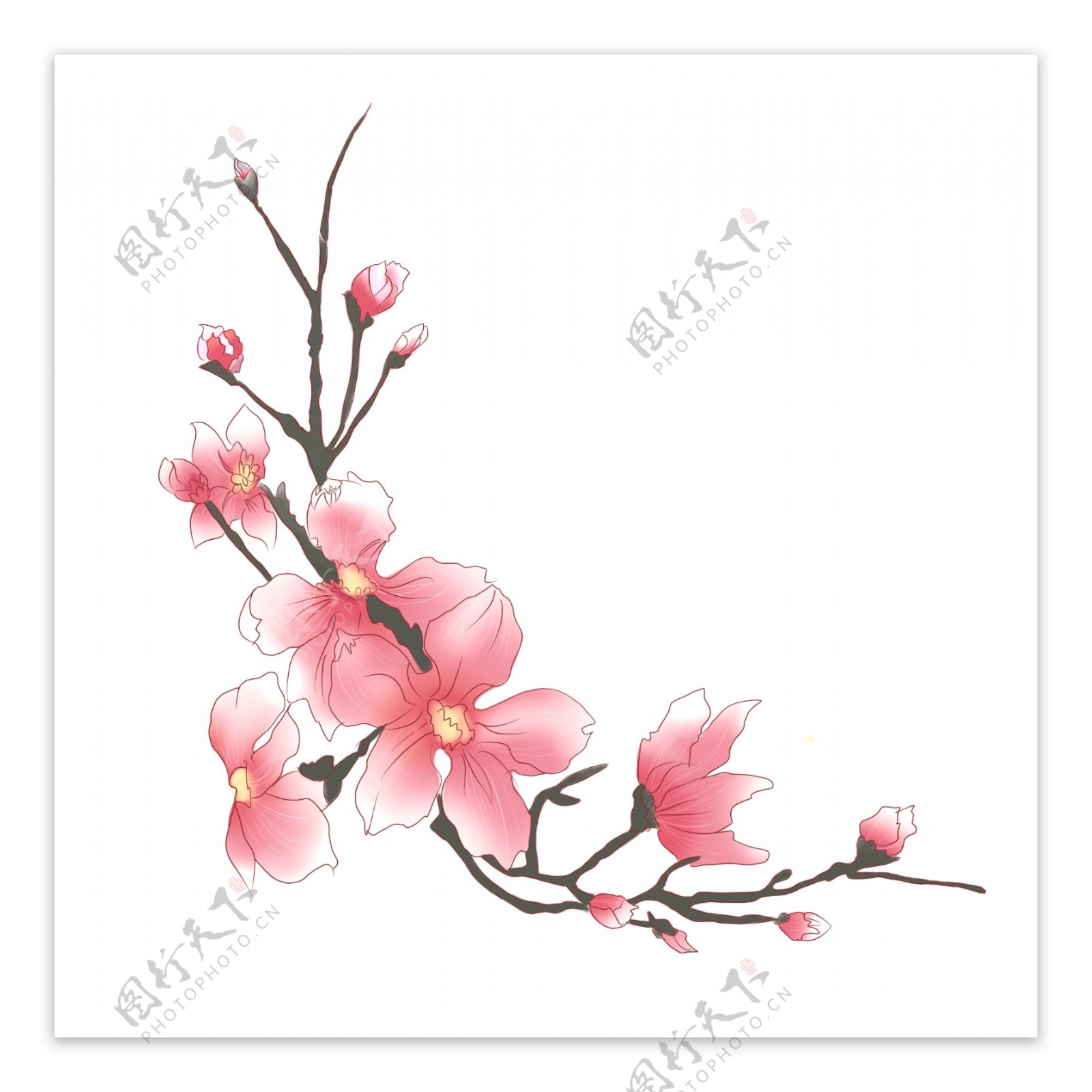 手绘植物通用元素水墨中国风桃花