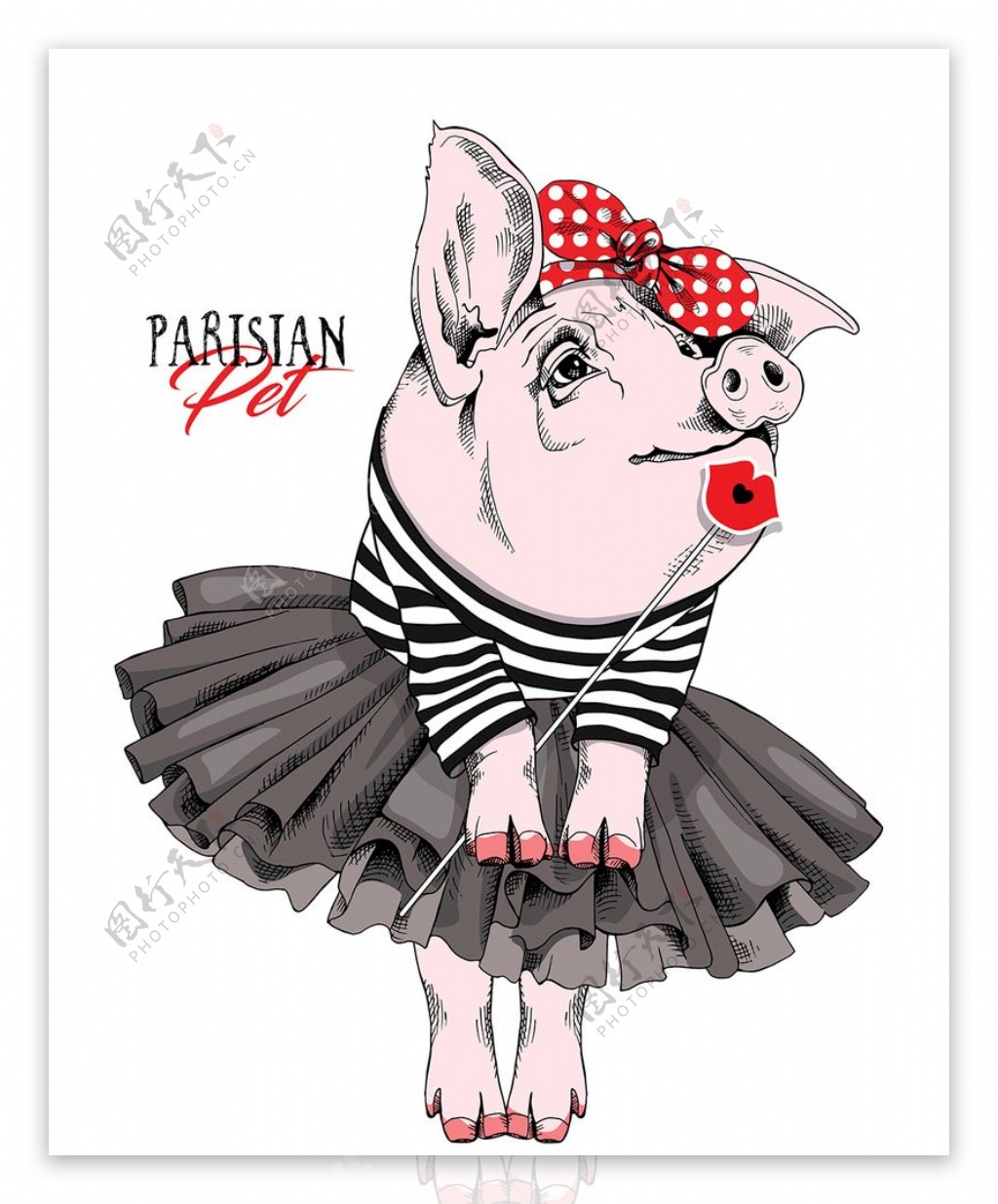 穿裙子的猪