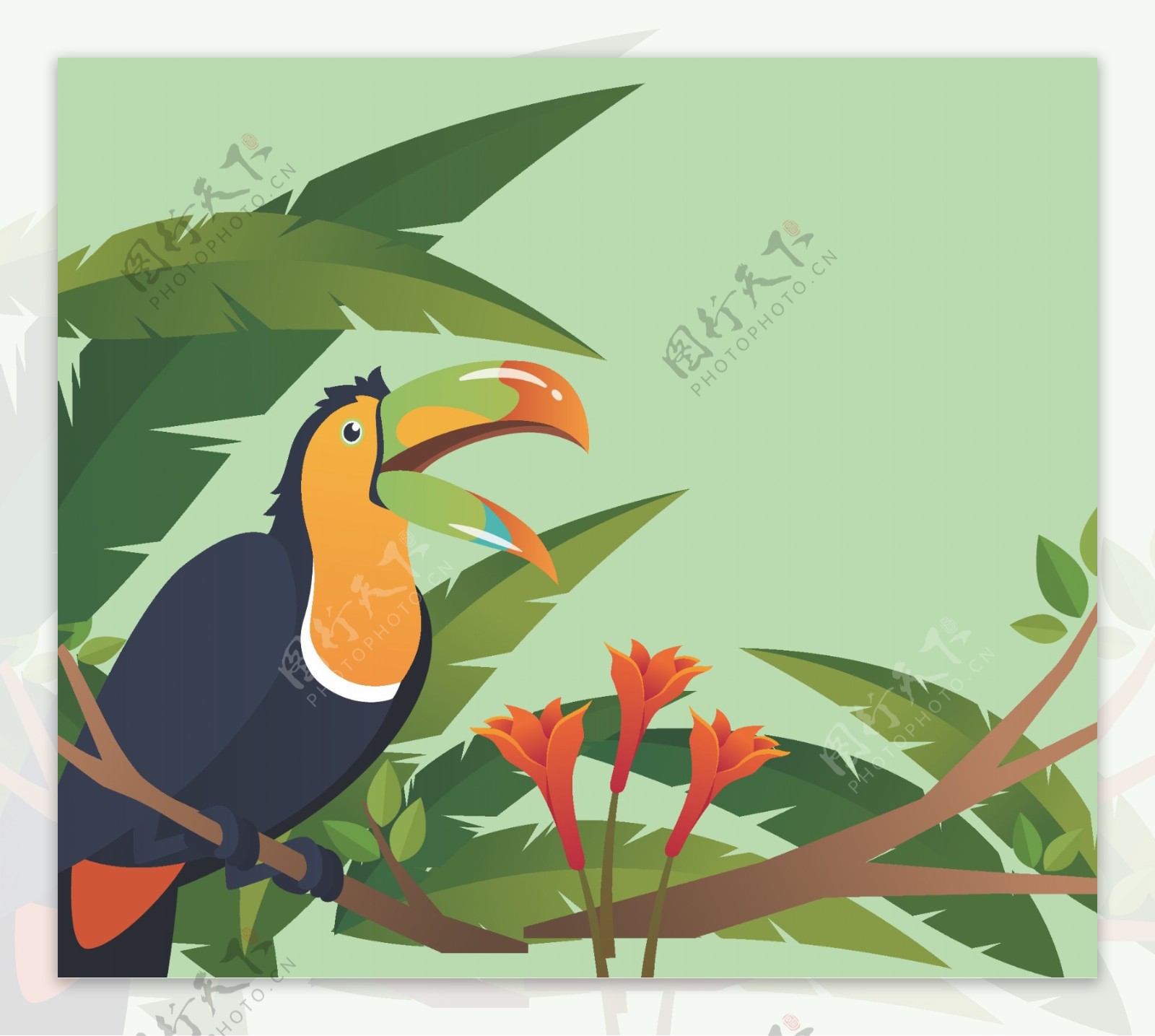 野外巴西巨嘴鸟