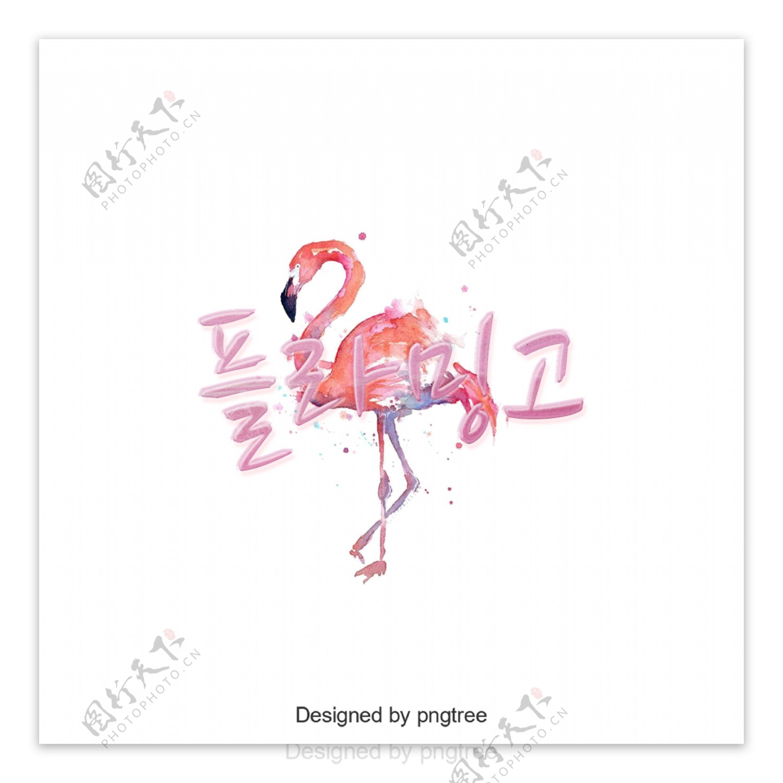 t粉红色的火烈鸟字符字体设计元素