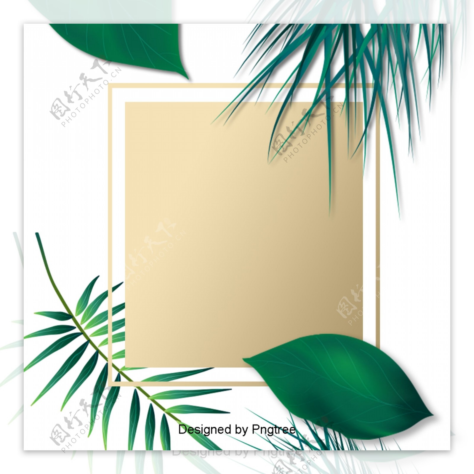 优雅的绿叶棕榈边框设计材料