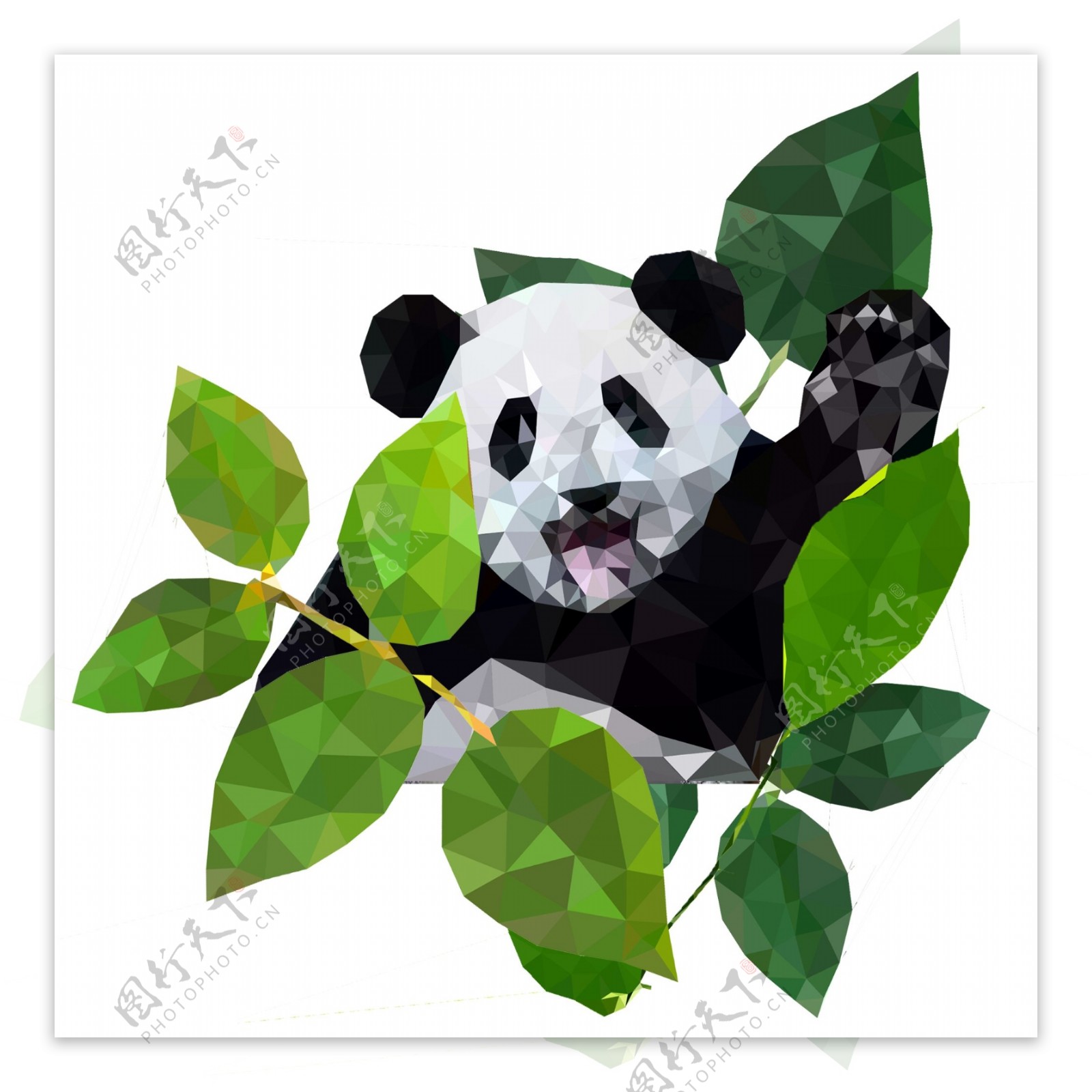 菱角渐明可爱大熊猫与树叶