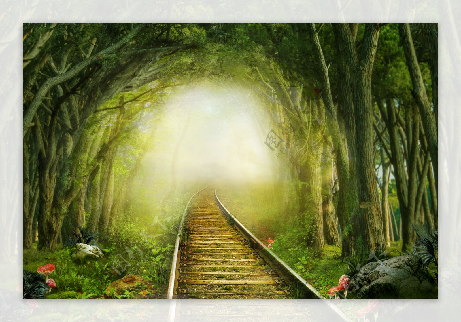 梦幻森林中的铁轨