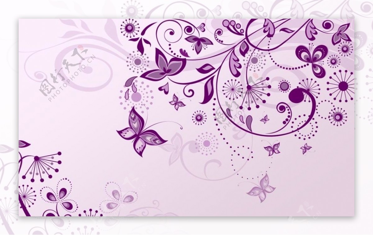 紫色花纹蝴蝶
