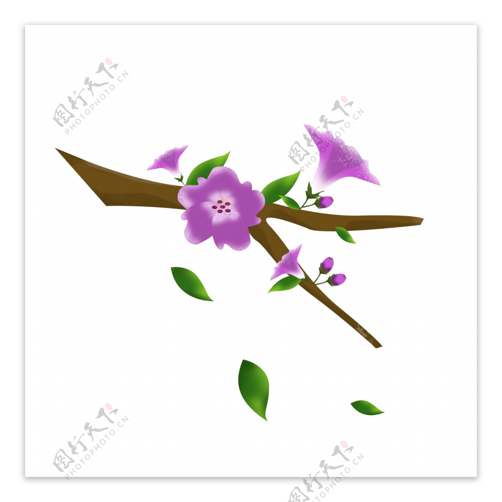 春天元素紫色花朵花枝花卉绿叶手绘简约风5