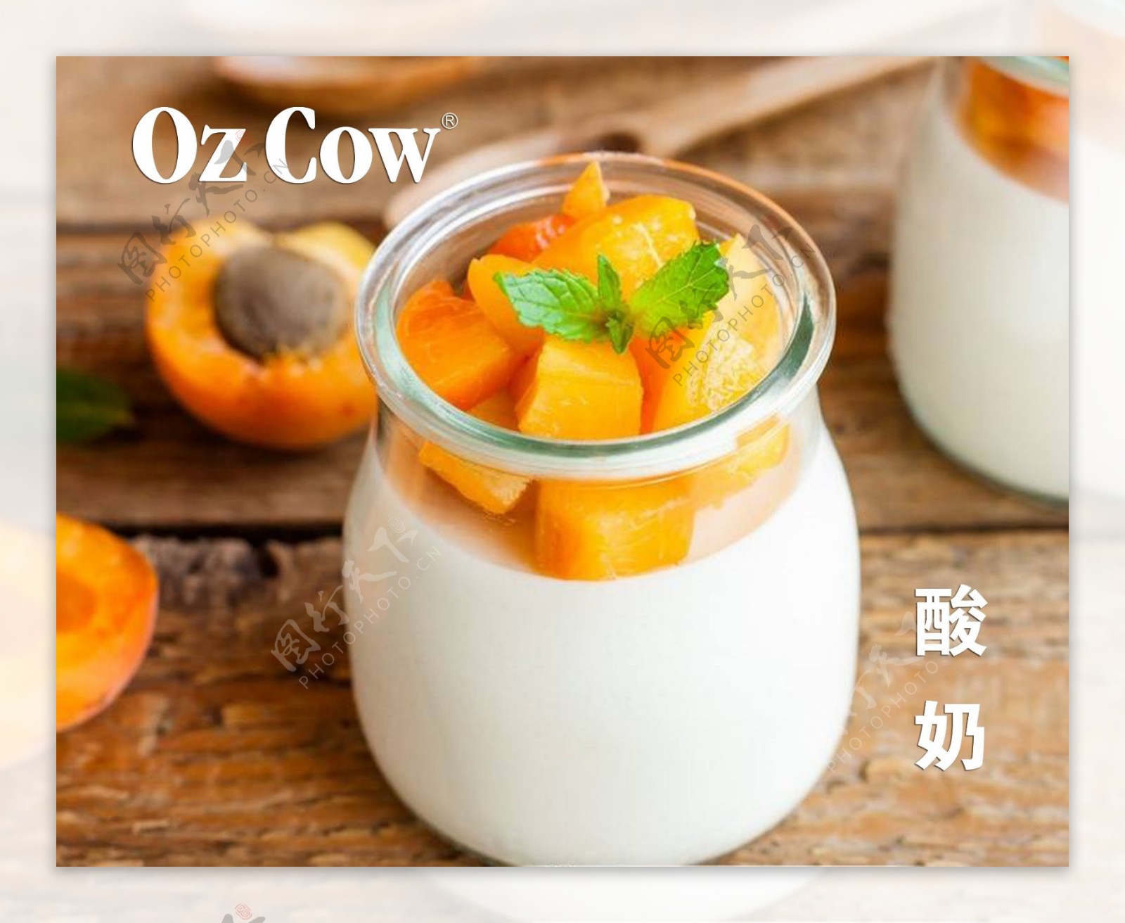ozcow手工酸奶