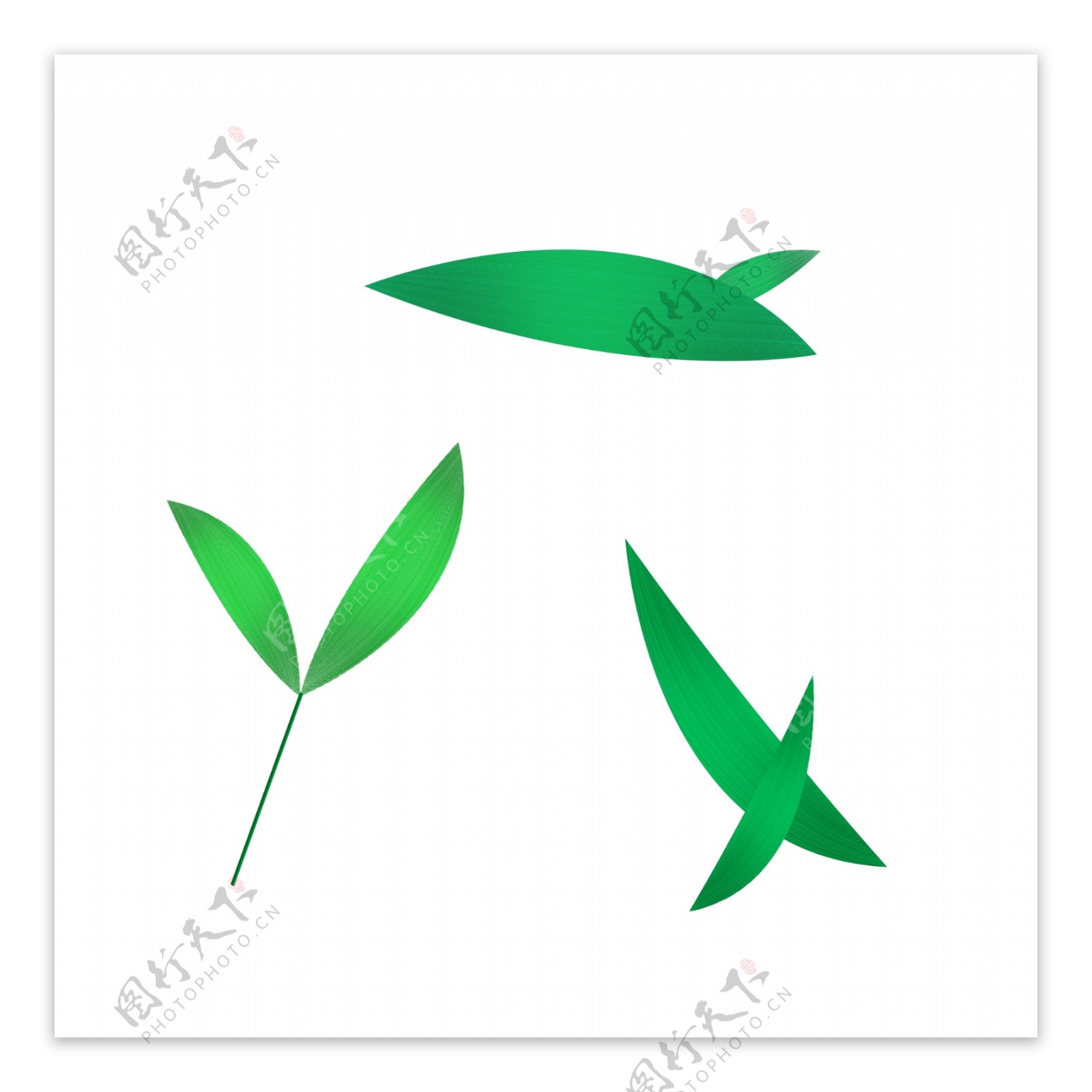 绿色竹叶竹子叶子踏青植物手绘