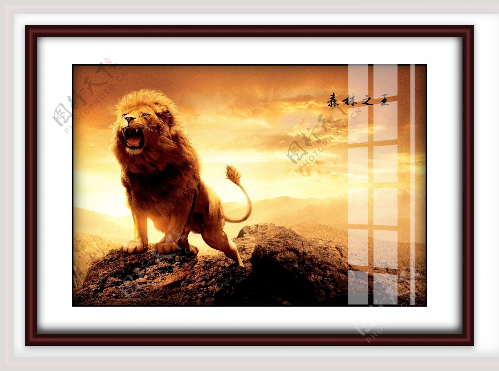 狮子天空相框装饰画