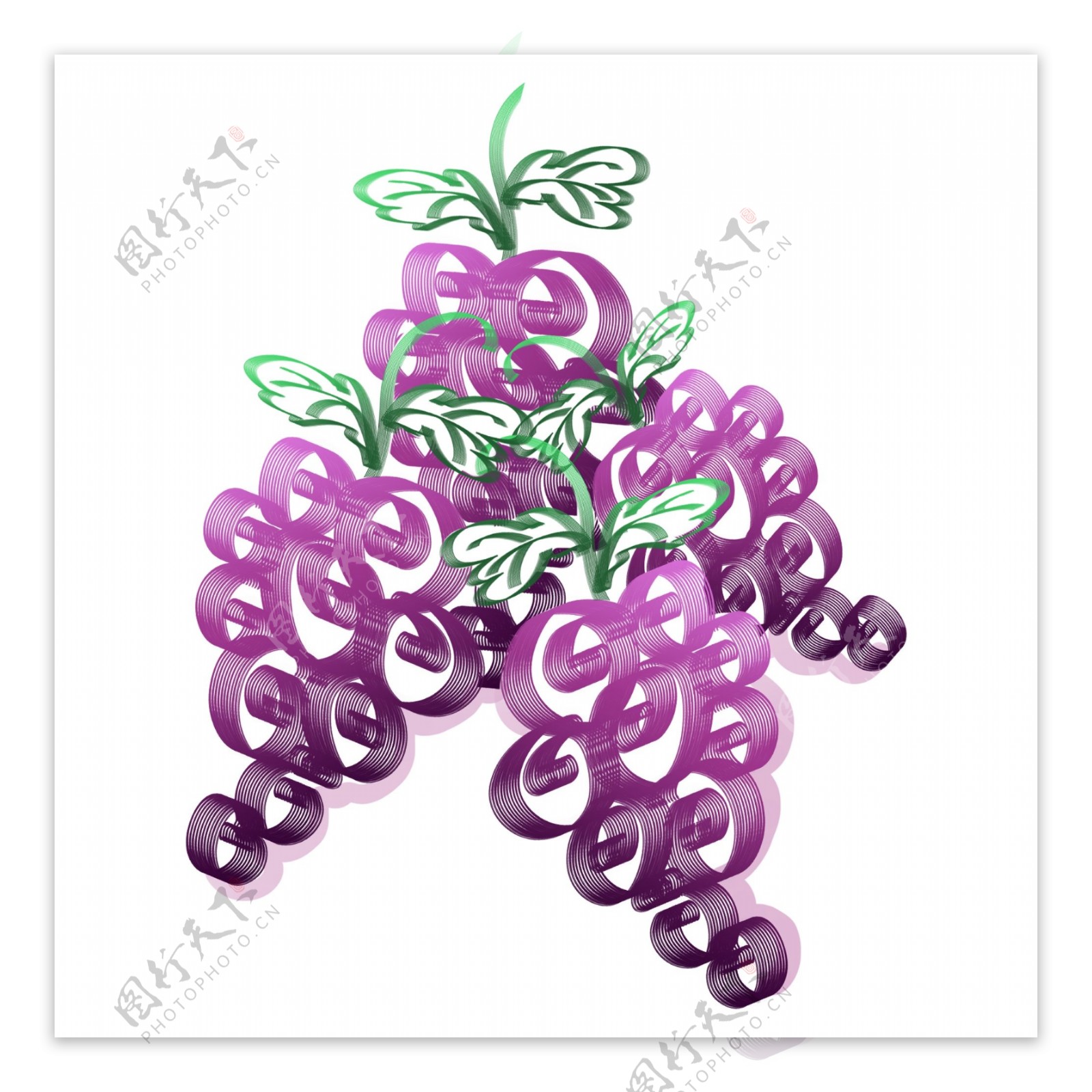 葡萄装饰紫色水果生长