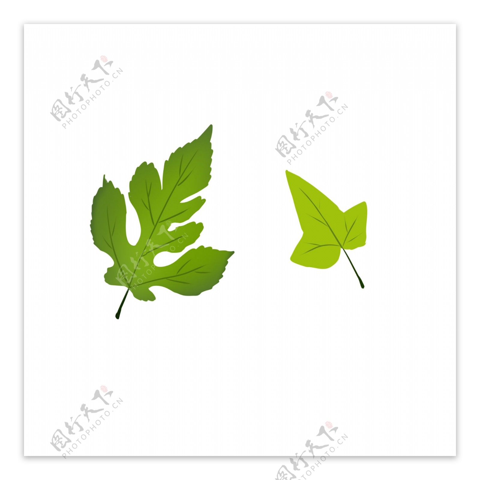 绿化树叶植树节素材