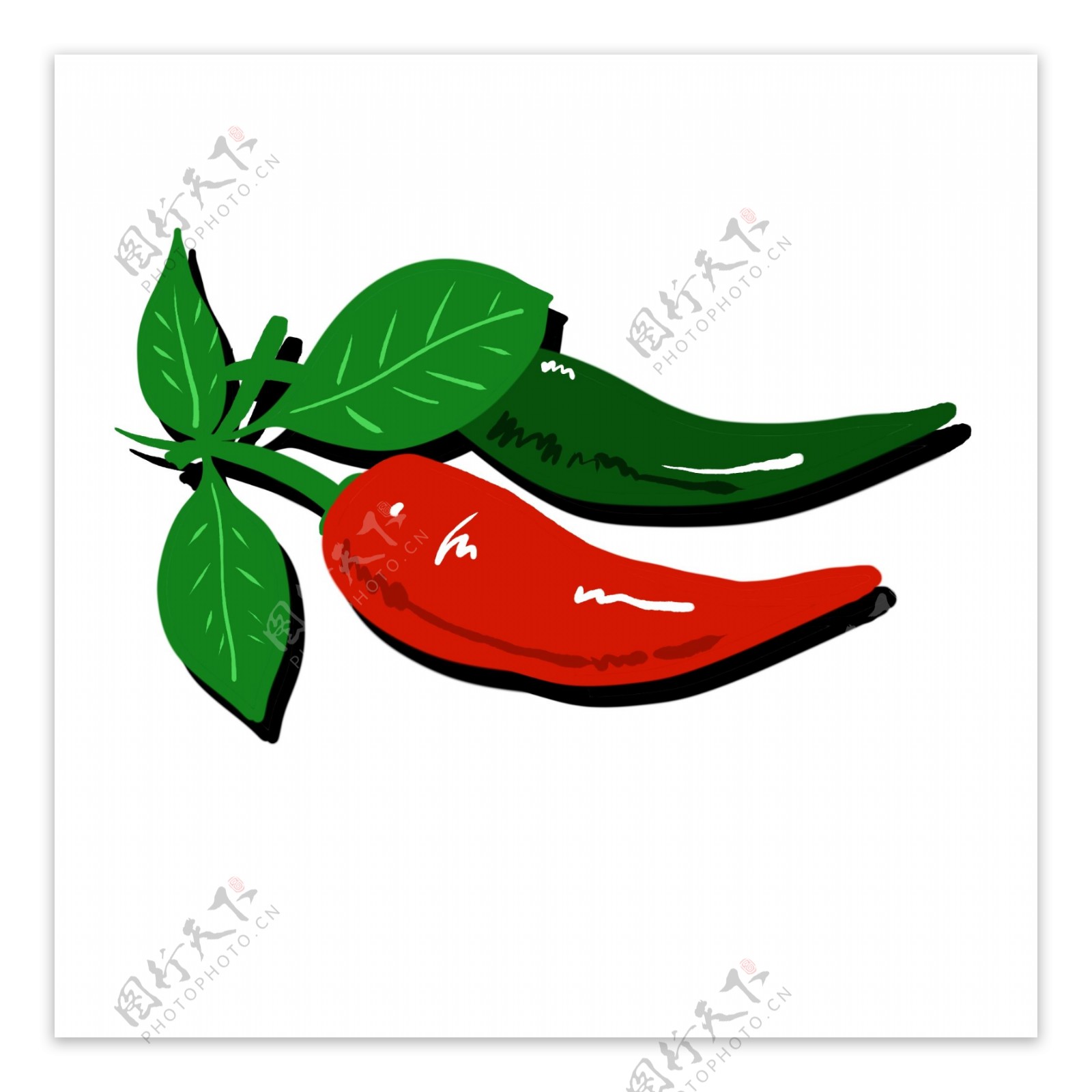 辣椒生长装饰红色绿色