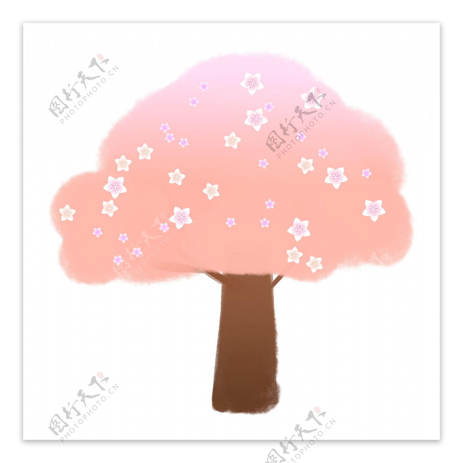 粉色唯美樱花树插图