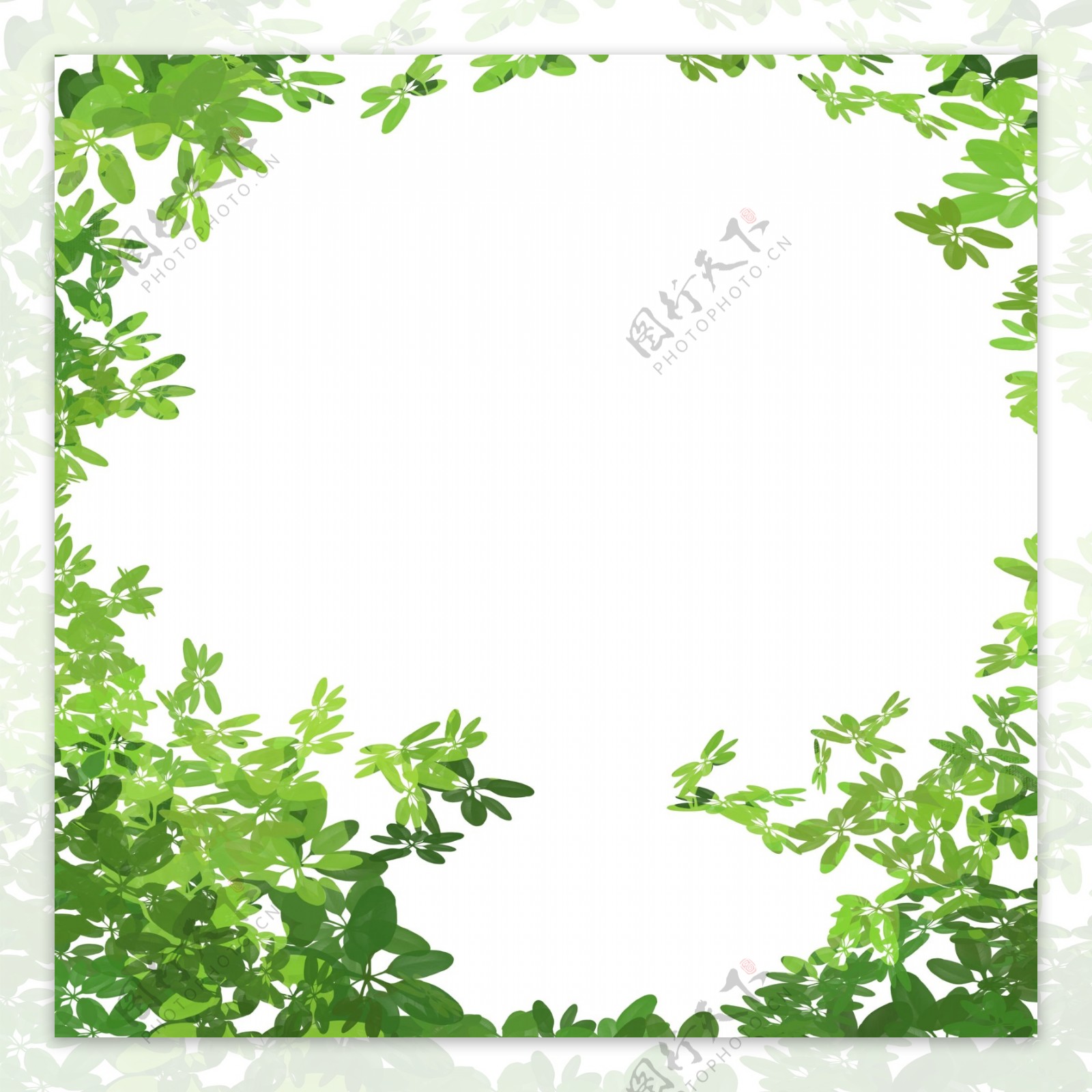 绿色植物树叶边框元素