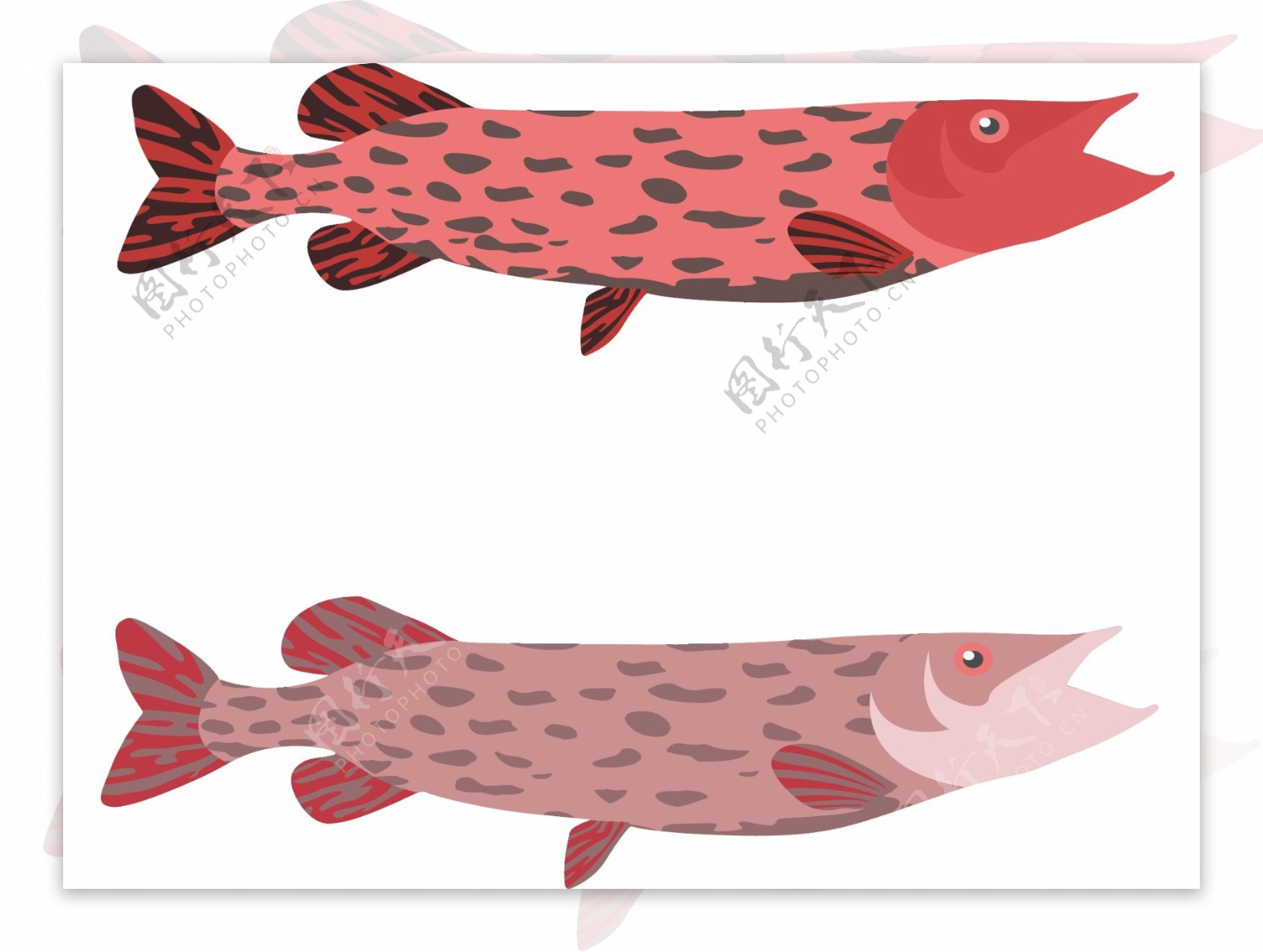 动物图案鱼造型元素